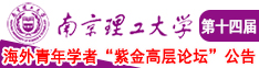 就是想操逼网南京理工大学第十四届海外青年学者紫金论坛诚邀海内外英才！